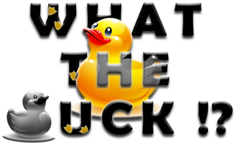 Nadruk What the duck ? - Przód
