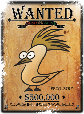 Nadruk Pesky bird (wanted) - Przód